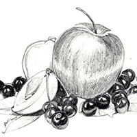 Drawing Exercise 2015: Fruits